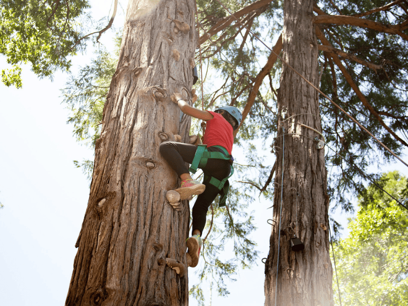 Forest Home Christian Family Camp